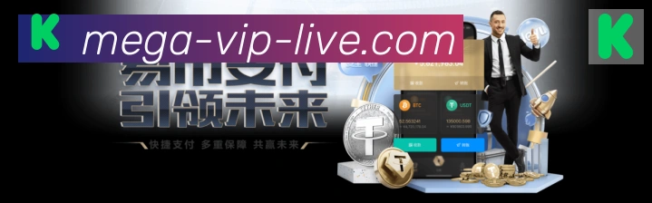 未来规划